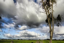 What are the causes of depression?